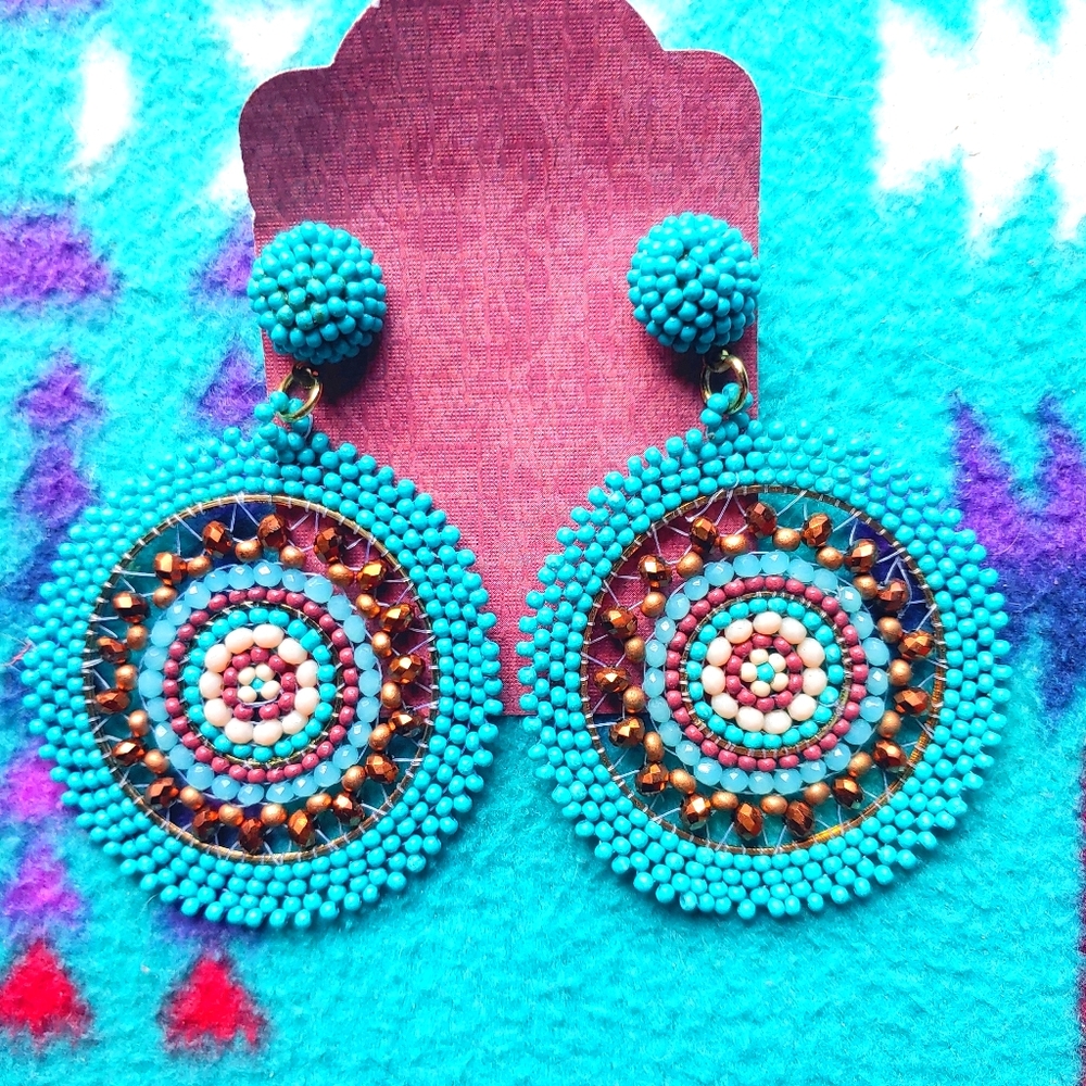 Earrings